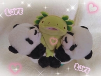 ���ε����β���