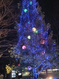 �����́A...