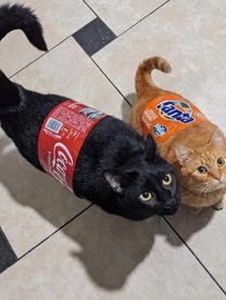 ���ε����β���