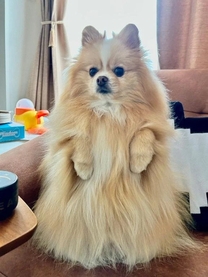 ��������...