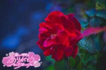 ���ε����β���