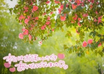 ���ε����β���