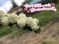 ���ε����β���