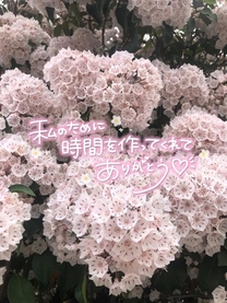 ���ε����β���