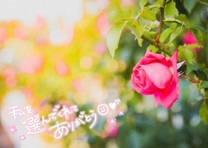 ���ε����β���