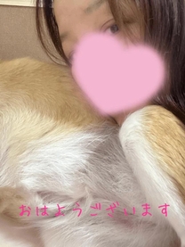 ���ε����β���