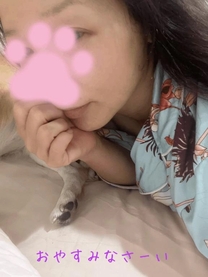 ���ε����β���