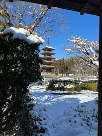 ���ε����β���