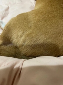 ���ε����β���