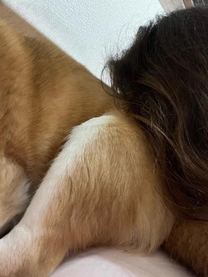 ���ε����β���