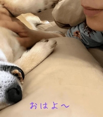 ���ε����β���