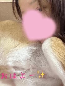 ���ε����β���