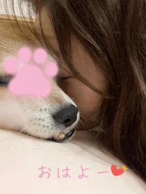 ���ε����β���