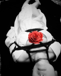 ���ε����β���