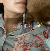 ���ε����β���