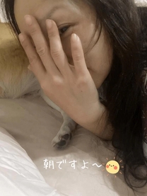 ���ε����β���