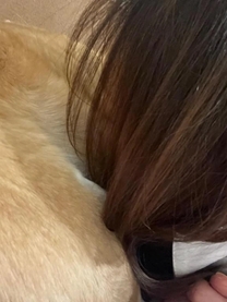 �u���O�摜