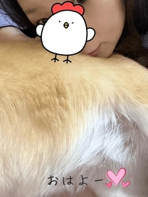 ���͂�[�̉摜