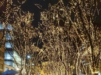 ���ε����β���