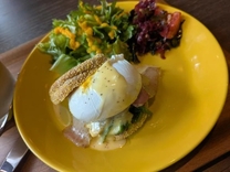 �{���o�΁I�I