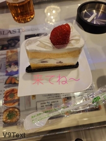 ���T�̗\��