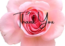 ���ε����β���