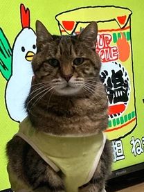 �u���O�摜