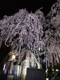 �u���O�摜