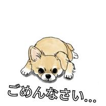 �u���O�摜
