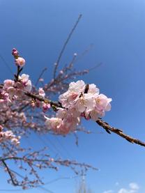 �o�΂���...