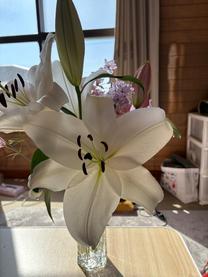 �o�΂���...