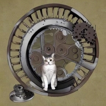 肪Ƃ 