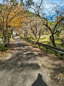 �u���O�摜