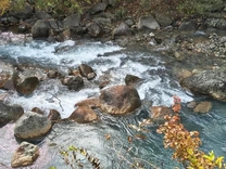 �u���O�摜