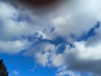 ���肪�Ƃ�