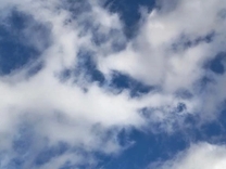 ���肪�Ƃ�