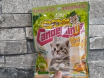 ������������