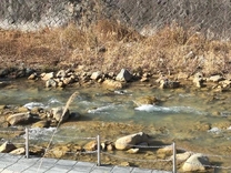 ���肪�Ƃ�