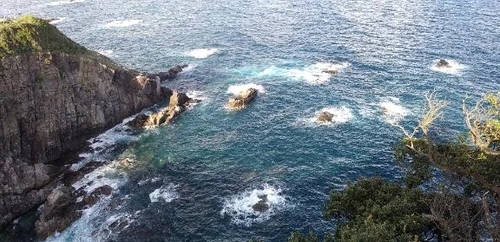 写真