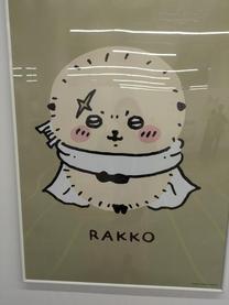 点