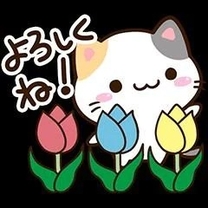 ͂悤...