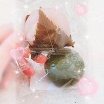 �u���O�摜