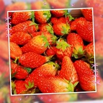 🍓...