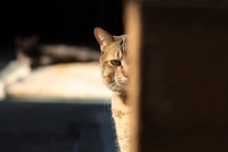 [ -