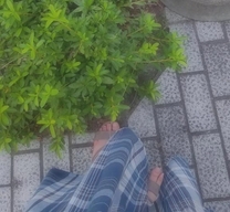 ɂ...