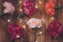 �u���O�摜