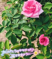 L܂