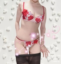 29���{�w���l�@�ݐ؂���