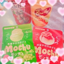 �u���O�摜