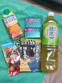 �u���O�摜